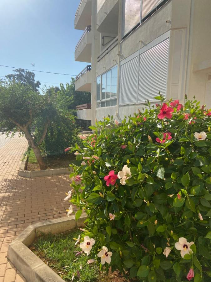 Vistas Al Mar Playa De Los Bovetes Denia Zewnętrze zdjęcie